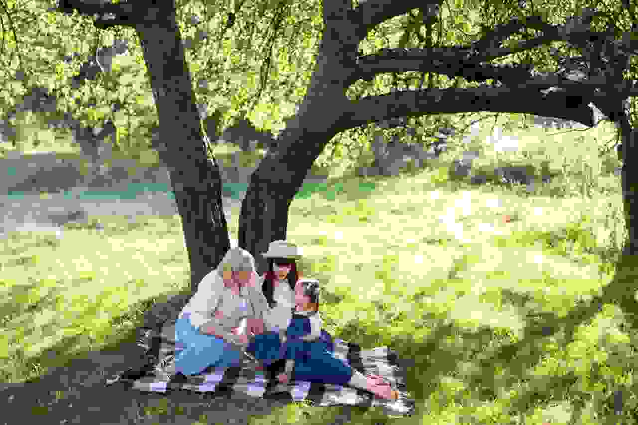 Familie sitzt unter Baum